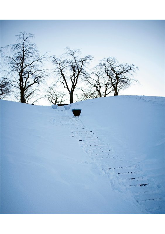 Växtkärl Små Blom & Blom